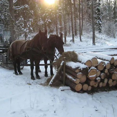 Homestay Mazurek Do Wynajecia