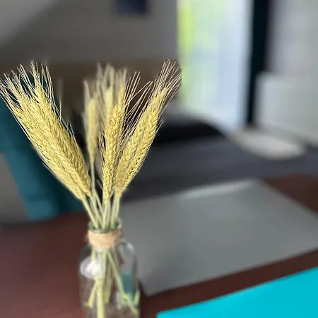 Mazurek Do Wynajecia Alloggio in famiglia *