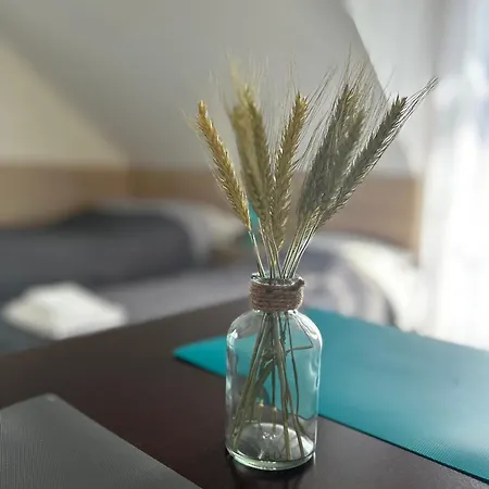 Mazurek Do Wynajecia